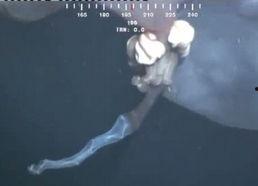 深海幕后爆料视频完整版,揭秘神秘爆料视频完整版内幕